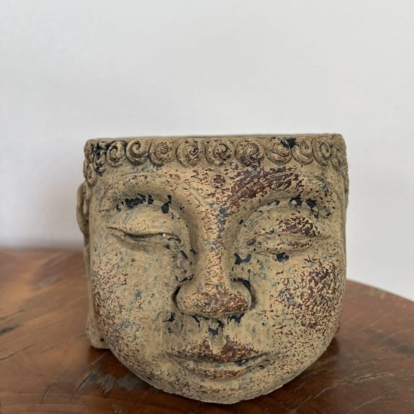 Vaso Cabeça de Buda - Imagem 2