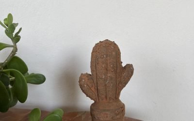 Figura Cactus Ferrugem